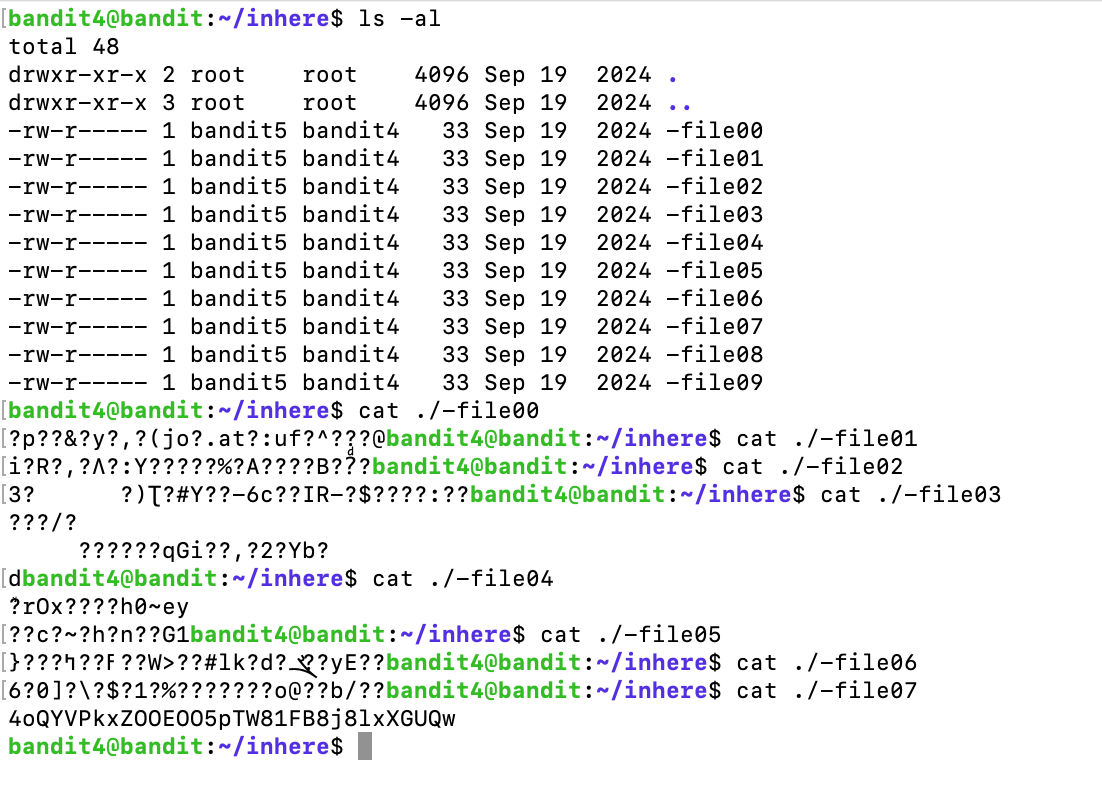 bandit05_0 image