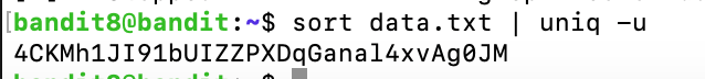 bandit09_0 image