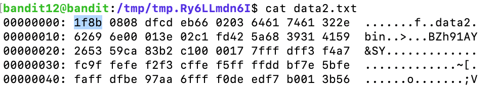 bandit14_0 image