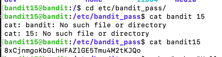 bandit17_0 image
