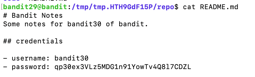 bandit31_2 image